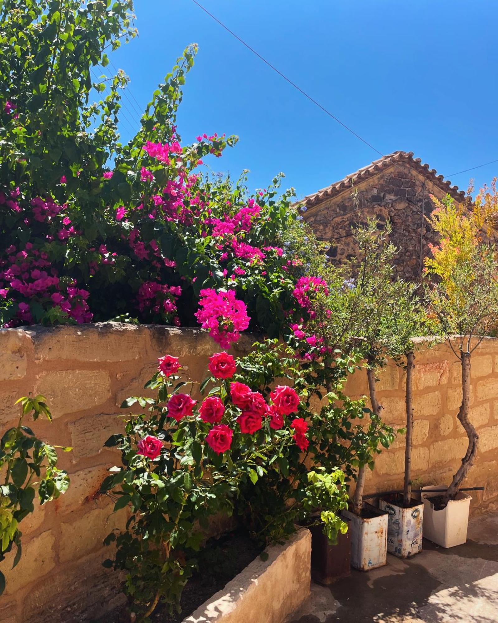 Pyrgos Fassea Kardamyli Villa Kültér fotó